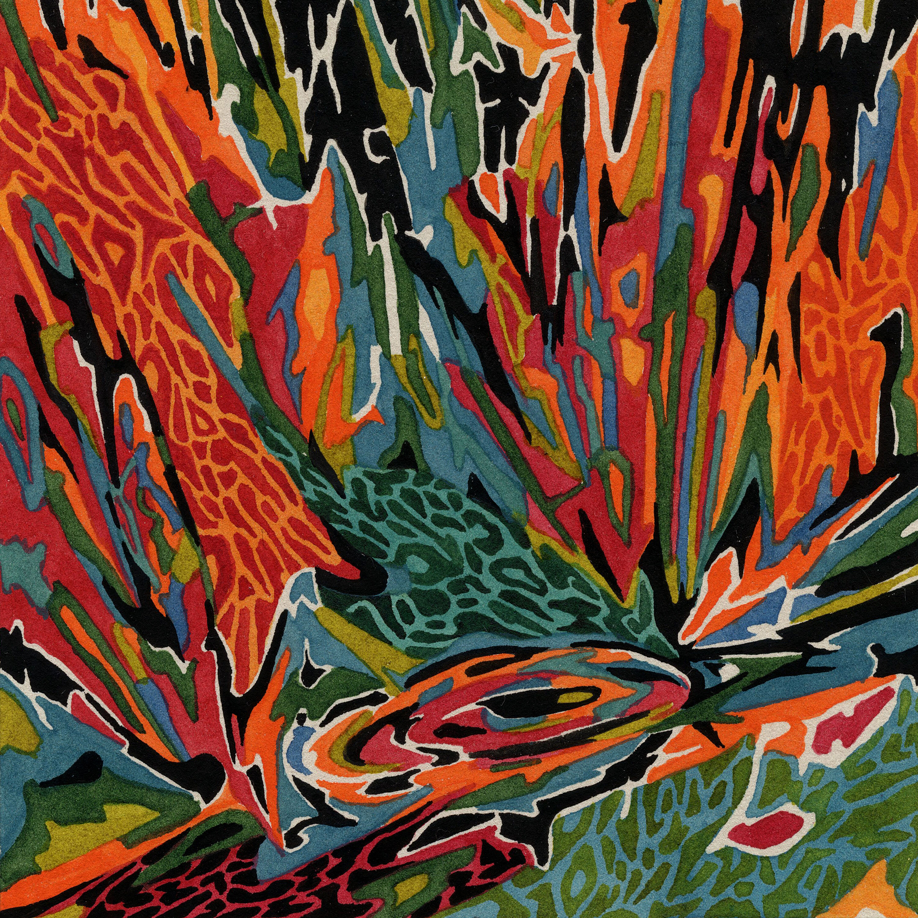 Akusmi — Terra Incognita