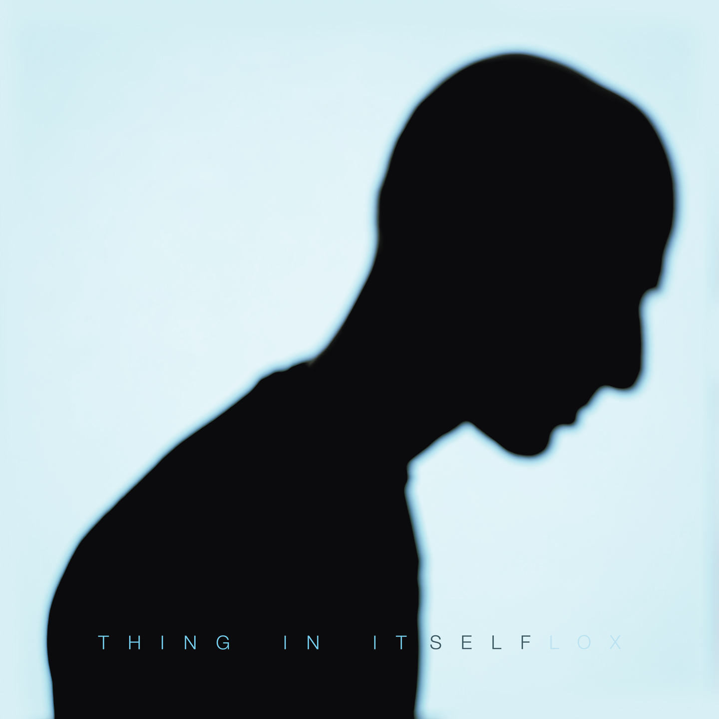 Flox — Thing In Itself